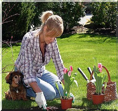 Coke for the garden.