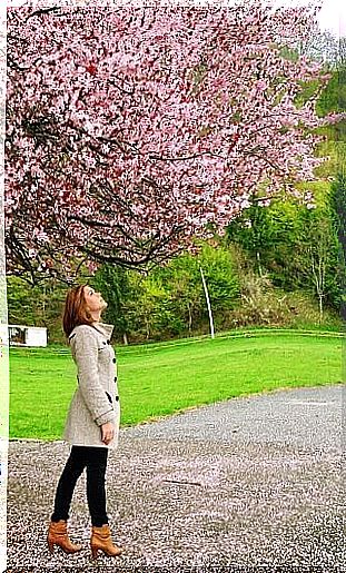 woman looking at a tree