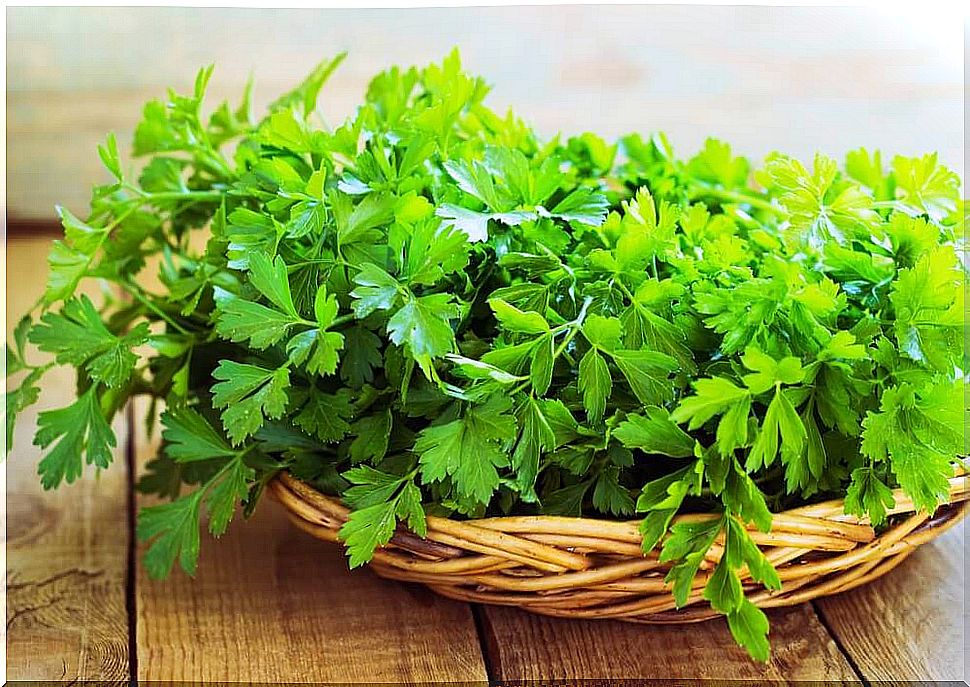 the benefits of parsley for the kidneys