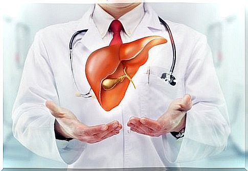 Cholesterol and the liver.