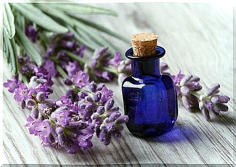 Lavender essential oil to fight lice.