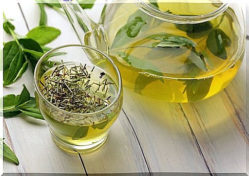 green tea to cleanse the intestines