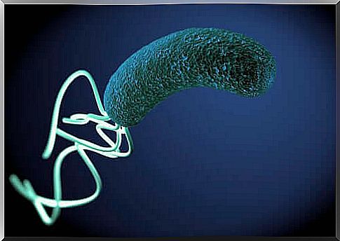 Bacteria in pictures.