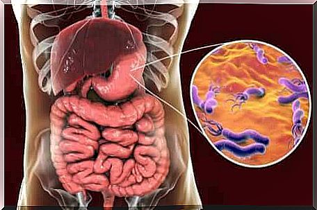 Bacteria in the stomach.