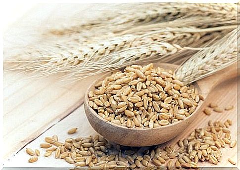 barley helps fight cellulite