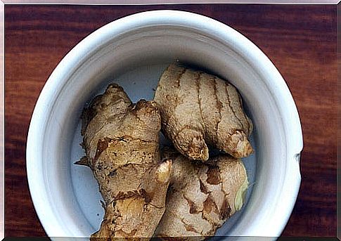 grow ginger at home