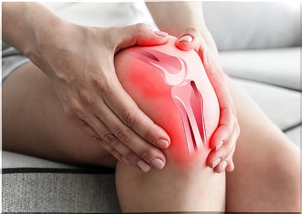 what to do in the event of a knee injury?