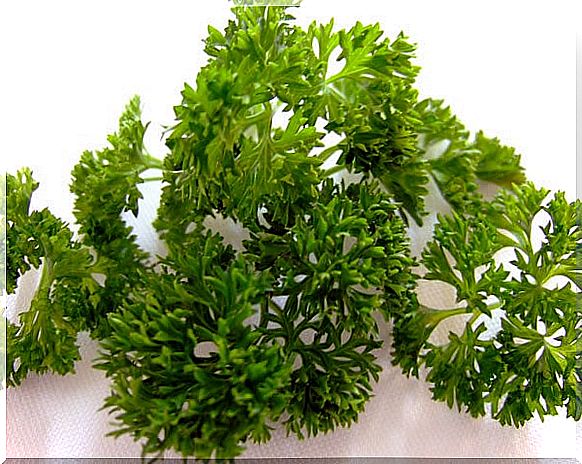 parsley 2