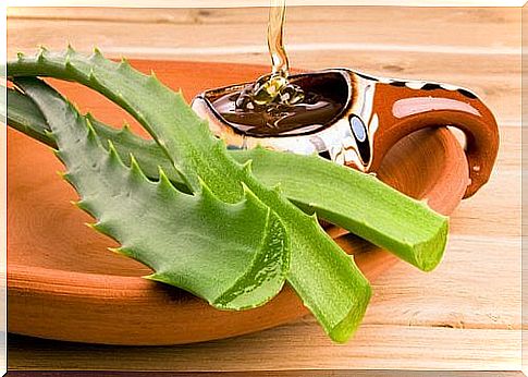 Aloe vera leaf and honey 